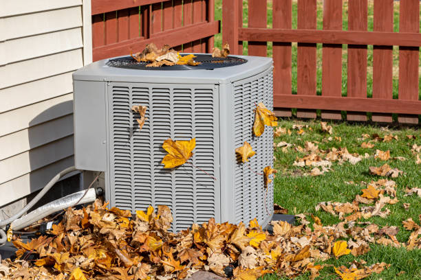 Air duct cleaning in Palo, IA